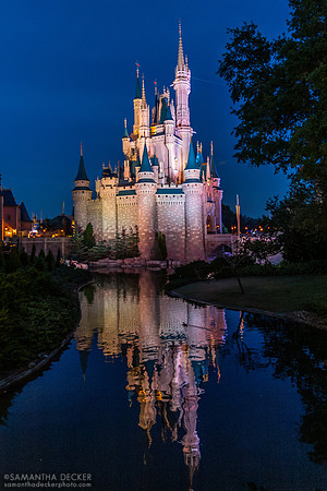 Cinderella's Castle in the Blue, Magic Kingdom