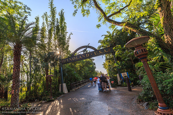 Entering Dinoland USA