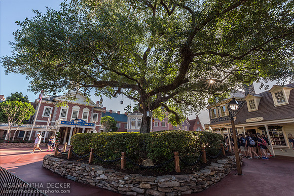 Liberty Tree Tavern, Magic Kingdom