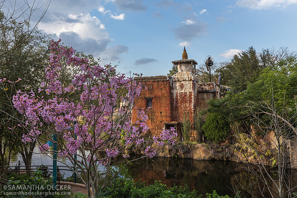Asia, Disney's Animal Kingdom, Walt Disney World