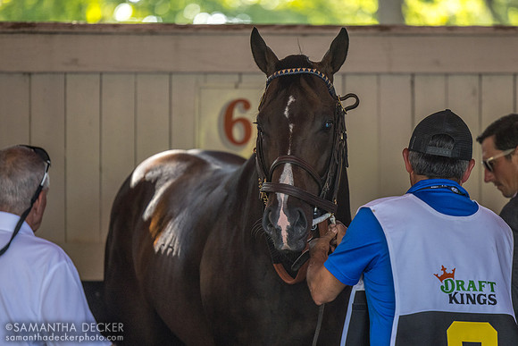 Mullikin getting saddled for the Forego
