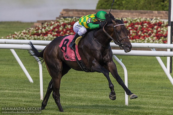 Donegal Momentum wins the Poker