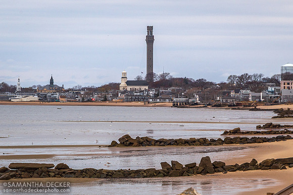 Provincetown, 2016