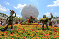 Epcot Flower and Garden Festival, 2011