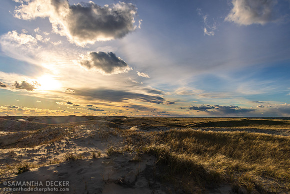 Race Point Beach, Provincetown, MA, 2025