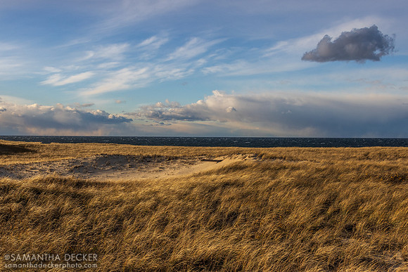 Race Point Beach, Provincetown, MA, 2025