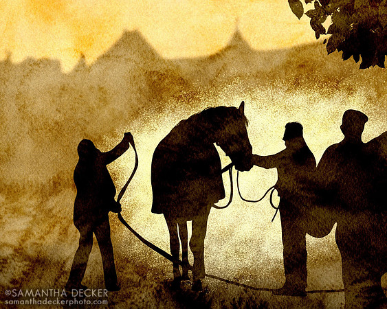 Olympiad getting a bath after winning the Grade I Jockey Club Gold Cup at Saratoga