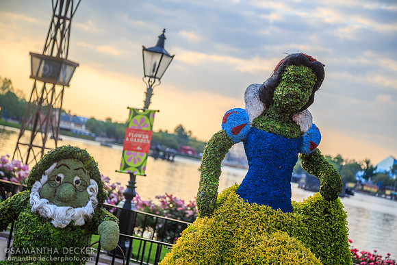 Snow White and the Seven Dwarfs Topiary, EPCOT, 2013