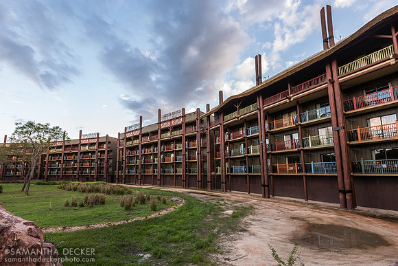 Disney's Animal Kingdom Lodge, 2015