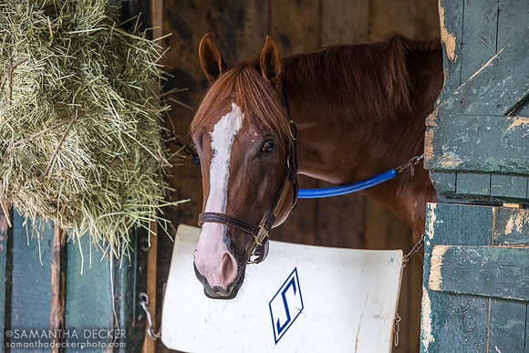 Sight, Al Stall barn