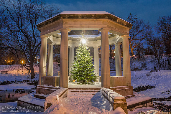 Congress Park Christmas Tree, Saratoga, 2016
