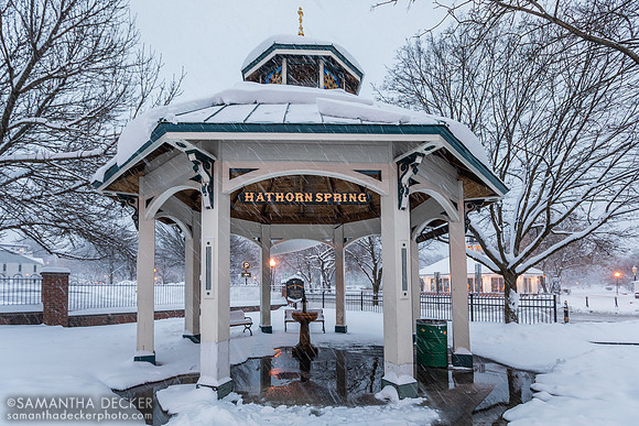 Hathorn Spring in Winter, 2019