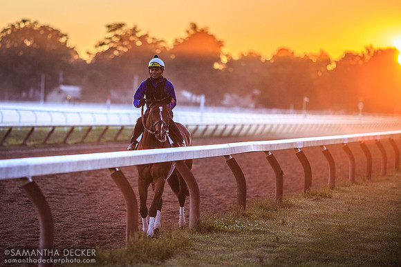 Oklahoma Track, 2014