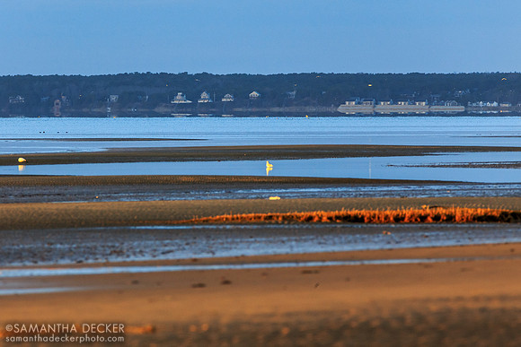 Thumpertown Beach, Eastham, MA