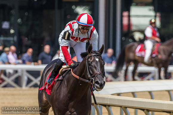 Unmatched Wisdom wins the Curlin S.