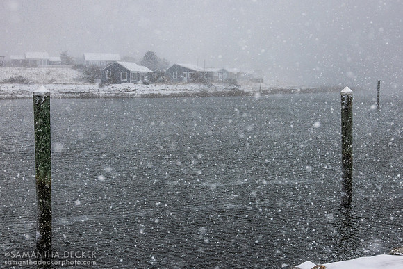 Wellfleet Pier, 2026