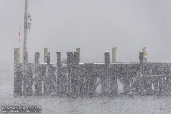 Wellfleet Pier, 2026