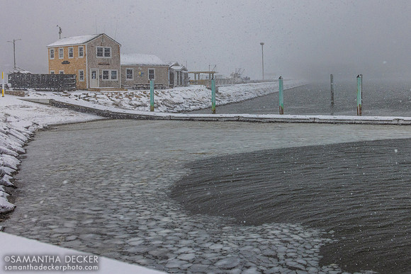 Wellfleet Pier, 2026