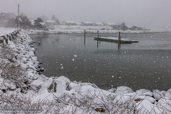 Wellfleet Pier, 2026