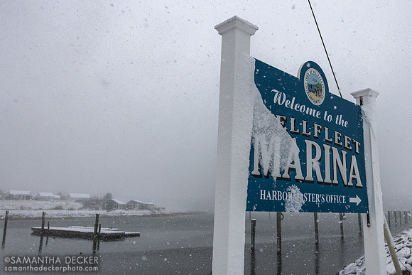 Wellfleet Pier, 2026