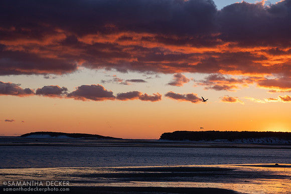 First sunset of 2026 at Mayo Beach, Wellfleet, MA
