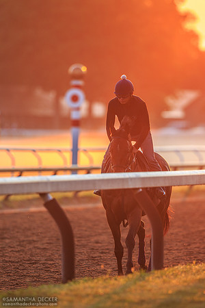 Oklahoma Training Track, Saratoga Springs, 2014
