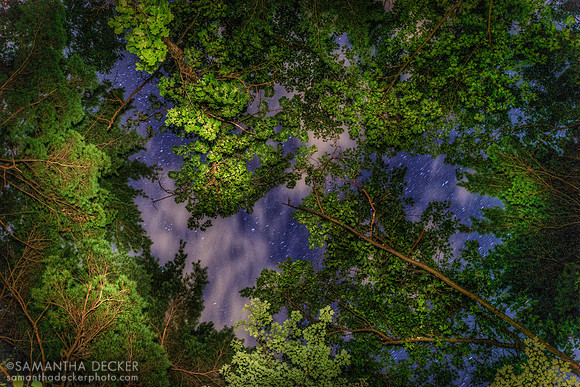 Moreau Lake State Park, 2013