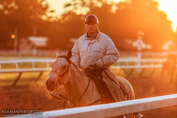 Trainer D. Wayne Lukas, 2013