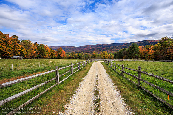 Hildene Farms, Manchester, VT