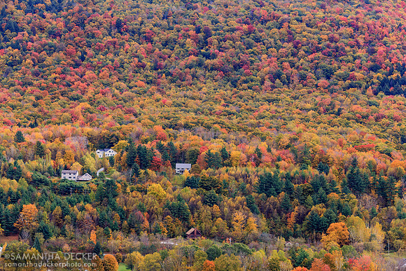 View from Gardens at Hildene, Manchester, VT