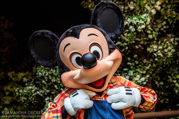 Mickey Mouse, Garden Grill Restaurant, EPCOT
