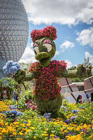 Daisy Topiary, EPCOT