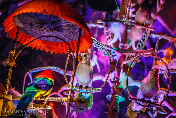 The Enchanted Tiki Room, Magic Kingdom