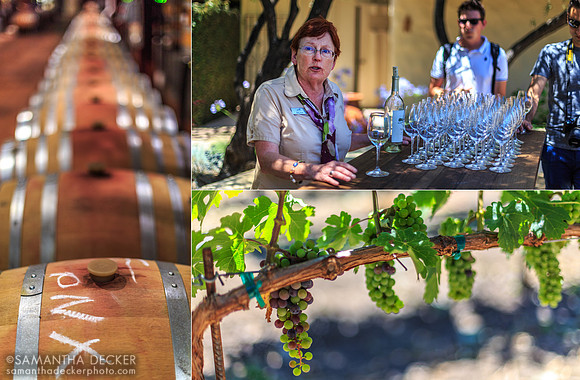 Robert Mondavi Winery, Napa Valley, CA