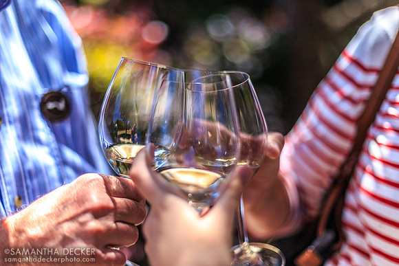 Wine Tasting, Robert Mondavi Winery, Napa Valley, CA