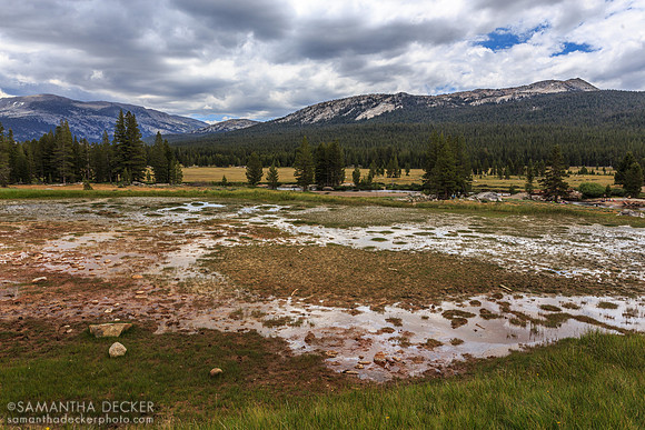 Tuolumne Meadows, Yosemite National Park