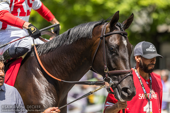 Unmatched Wisdom, winner of the Curlin S.