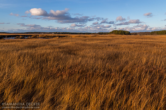 Lieutenant Island, Cape Cod, MA