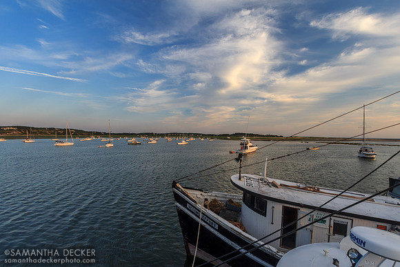 Mayo Beach, Wellfleet, Cape Cod, 2011