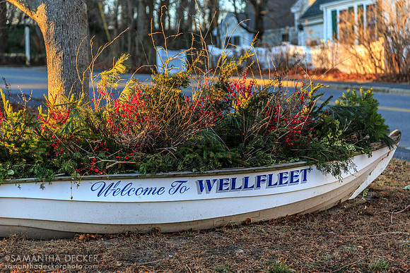 Welcome to Wellfleet