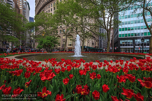Beautiful Bowling Green, New York City