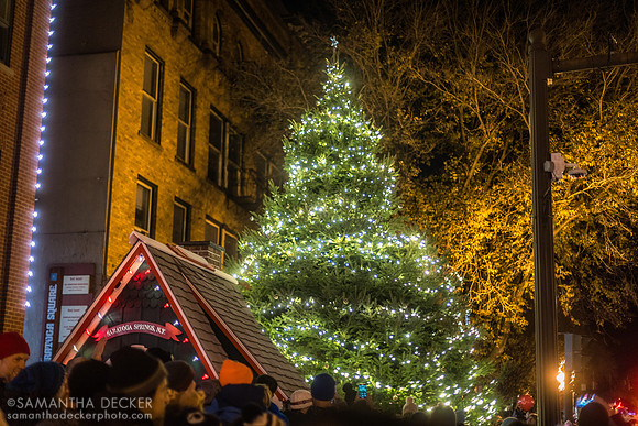 Saratoga's Christmas Tree