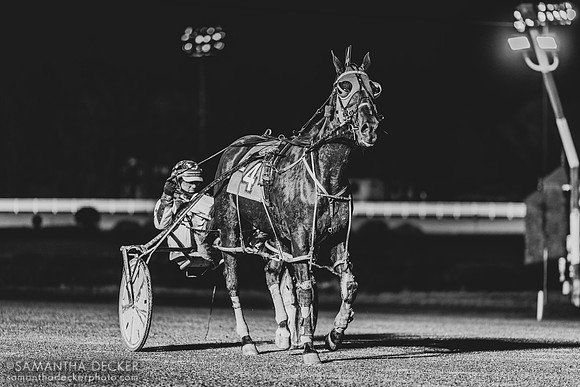 Saratoga Harness