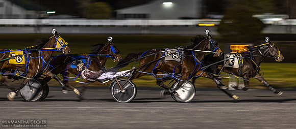 Saratoga Harness