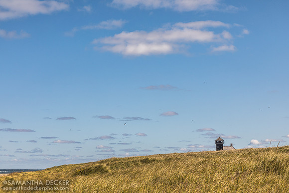 Race Point Beach, Provincetown, MA
