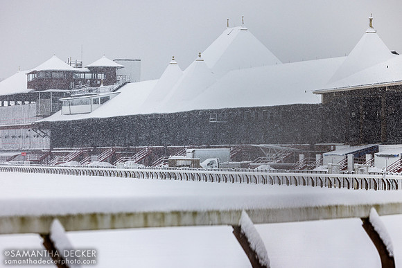 Saratoga Race Course, 2026