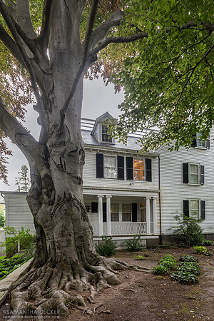 Ropes Mansion, Salem, MA