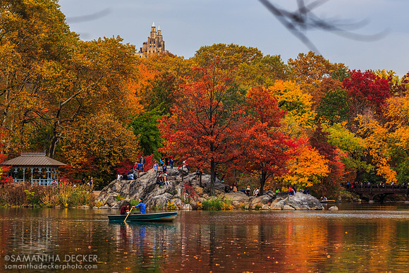 Central Park, New York City