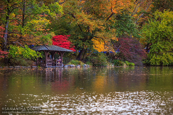 Central Park, New York City