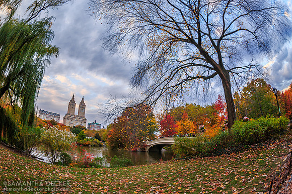 Central Park, New York City